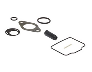 LO206 - CARBURETOR OVERHAUL KIT